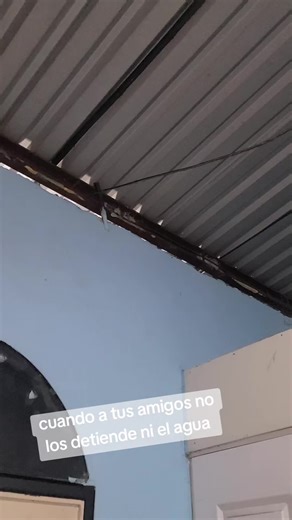 Videos de Jefferson Sanchez (@jeffersonsanchez287) con “sonido original - Jefferson Sanchez”