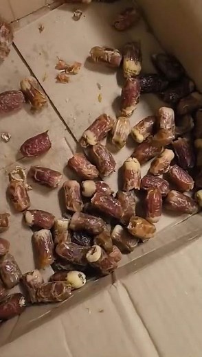 Fruit Dates Pitting Machine Dates Seed Removing Machine #machine #cleanerfillingmachine #factory#cnc