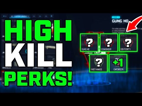 BEST PERK SETUP IN BO7! | HIGH KILL OP PERK LOADOUT!