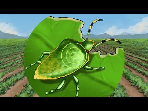 50. Agricultura digital