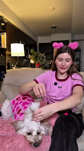 Getting ready for Valentine’s Day💗 #dogshorts #cockapoo #doghair #dogmom