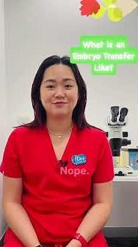 What is an Embryo Transfer like?