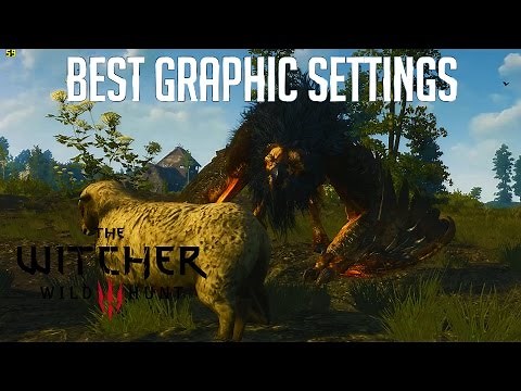 The Witcher 3: Tweak Guide, Best Graphic Settings to Increase Performance - Royal Griffin Boss Fight
