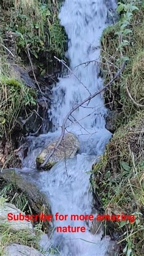 Clean Water Stream | Relaxing Nature Sounds & Pure Fresh Flow