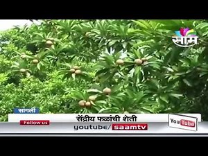 Tanaji Nalawade - A Famous Organic Fruit Farmer