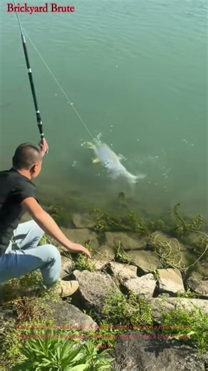 Big Fish Escapes After Hook Snaps Line 🎣😱