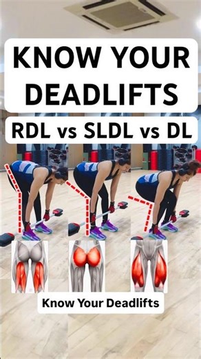 RDL vs SLDL vs Deadlift – Know the Difference 🔥 | How Each Targets Glutes, Hamstrings & Quads 🍑🦵