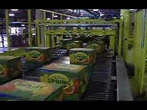 OCME - Orion in-line palletiser for cartons and bundles