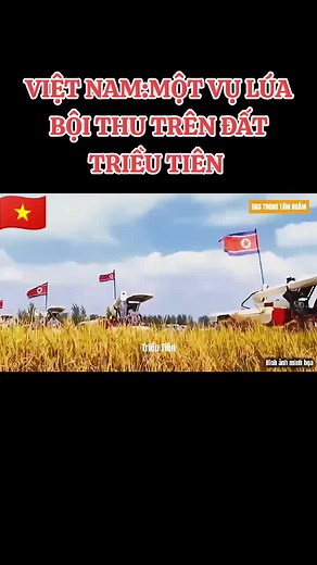 Vụ Lúa Bội Thu Đặc Biệt Tại Triều Tiên