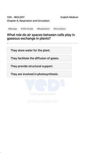 12th Biology Respiration and Circulation Gaseous Exchange in Plants