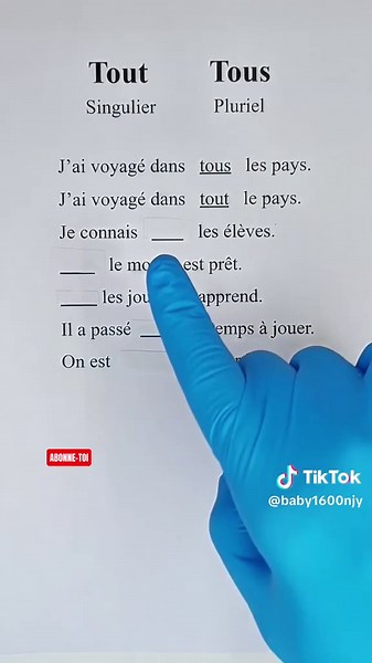 Tout et Tous : Quelle est la Différence ?