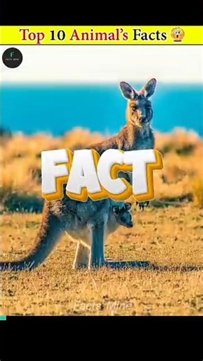 top 10 animal facts 🤔