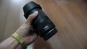 EOS R 装上佳能最新的RF24-240MM（一镜天下），测试下视频的效果，CLOG模式和直出以及追踪飞翔的鸽子