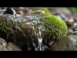 Sound of Flowing Stream in the Mountain Forest – Relaxing Nature Sounds for Deep Sleep