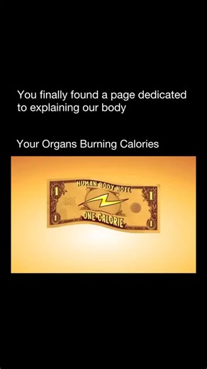Explaining Our Body on Instagram: "Even when you’re doing absolutely nothing, your organs are constantly burning calories just to keep you alive. This is called your basal metabolic rate. Your brain, heart, liver, kidneys, and lungs are always working behind the scenes, using energy to pump blood, filter waste, regulate hormones, process nutrients, and control breathing. In fact, your brain alone can use about 20 percent of the calories you burn each day, even while resting. The liver is another