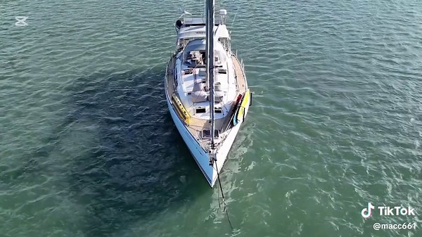 Explore the Joy of Sailing with a Jeanneau Sailboat