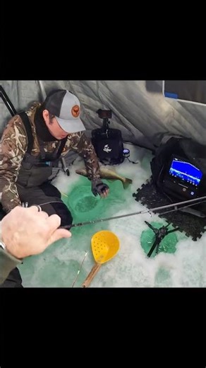 No walleye is safe with Brian around!! #outdoors #icefishing #fish #fishing #ice #walleye #saginaw