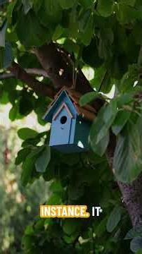 Beyond Labels: Self-Supervised AI's Revolution