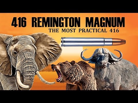 416 REMINGTON MAGNUM: The most practical 416