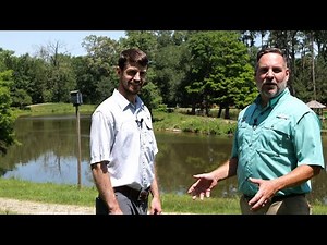 Get It Growing: How Bat houses are beneficial to bats and to you