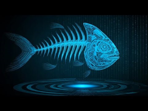 Blowfish a symmetric key block cipher