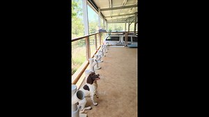 6.3K views · 91 reactions | Searching… searching… found! ✅ This is...