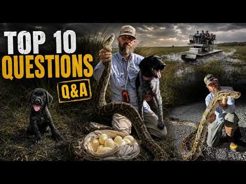 Saving the Glades Q&A: Your Top 10 Questions Answered