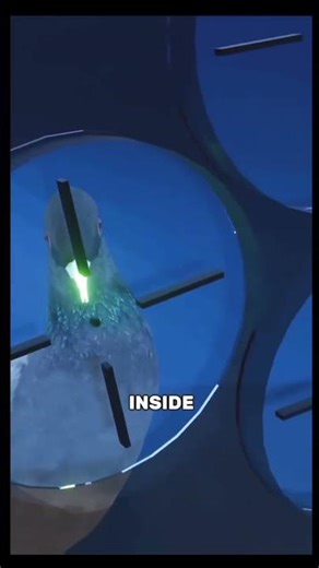 impossible 🍷#shorts