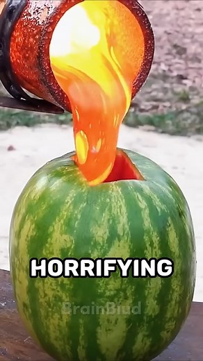 63K views · 341 reactions | Horrifying Facts You Didn't Know #curiosity #psychology #facts #factsyoudidntknow #funnystories #random #curiosities | Random Facts | Facebook