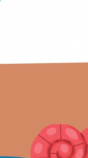 2.7K views · 12 reactions | A little change can be a good thing! Join the Explorers as they learn about organizing sizes to help a hermit crab find a new shell with the perfect fit! YouTube link in our bio! | Baby Einstein | Facebook