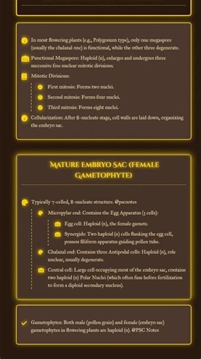 Megasporogenesis and Embryo Sac Development