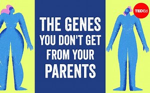 【TED科普】你无法从父母那里得到的基因（中英字幕）