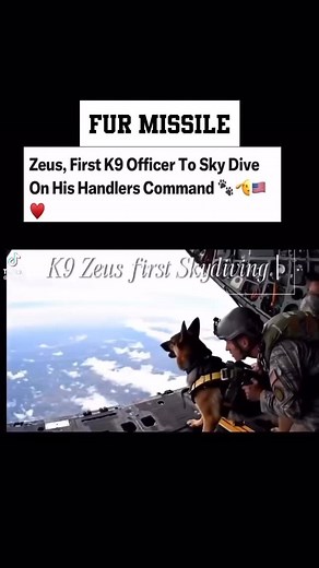 36K reactions · 1.4K comments | OverWatch Flight & Conditioning on Reels | Facebook