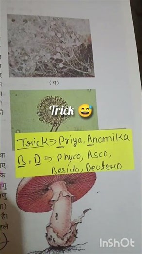 After library/ night study vlog 🪷🎀@aisha semwal