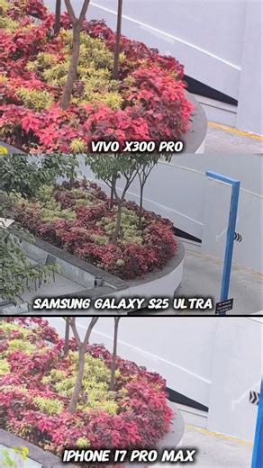 Flagship Phone battle Vivo X300 Pro Vs Samsung Galaxy S25ultra vs iPhone 17 Pro Max Photography Test