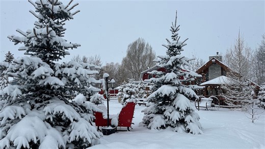 Springtime snowfall continues in Alberta with up to 20 cm - The Weather Network
