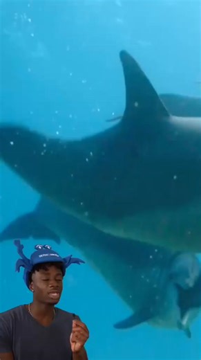 You've never seen animals like this before Check out Nature’s Spy in the Ocean on the PBS App today! #ad #PBS #Nature | Mndiaye