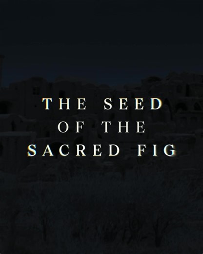 440K views · 144 reactions | THE SEED OF THE SACRED FIG is Academy Award® nominated for Best International Feature Film. Now Available to Watch at Home. | NEON | Facebook
