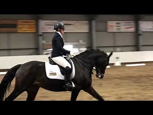 Novice 23 - Rock Diva - Quob - 78.95%