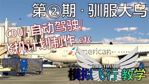 ★最详细★ 模拟飞行大教学 第②期 · 驯服大鸟【GARY小蜗】