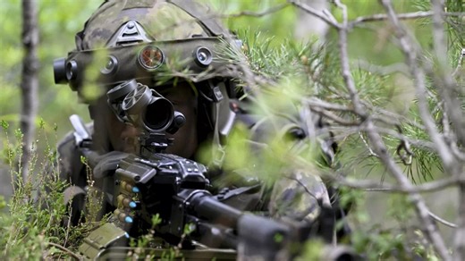 Finland adopts an all-society model to build national defence