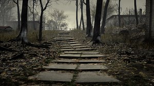 old abandoned garages in the forest