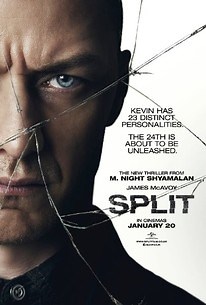 split_2017