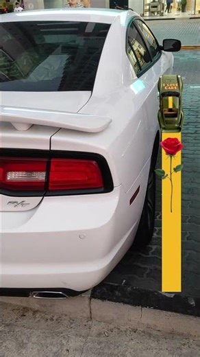 “Top Sports Cars in Action – Ultimate Speed & Power Showcase”