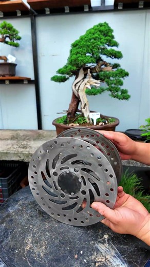Bàn xoay bonsai thấp, chịu tải 200kg