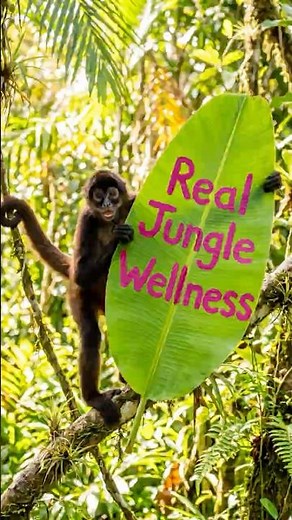Mexico's Ultimate Jungle Wellness