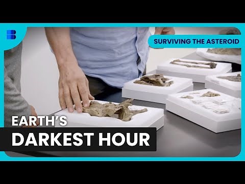 How Life Recovered After the Dinosaur Extinction | Surviving the Asteroid