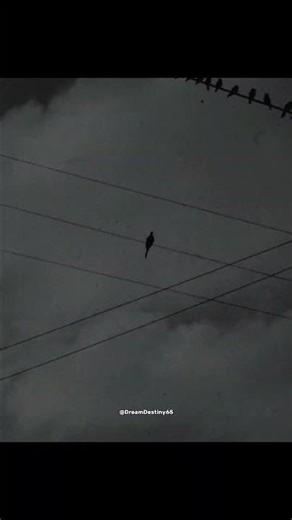 mentality..💀 #dreamdestiny65 #shorts #shortsfeed #motivation #5ksubs #viral