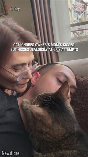 129K views · 439 reactions | : Meh to mom’s kiss, hiss to girlfriend’s | Bright Side | Facebook