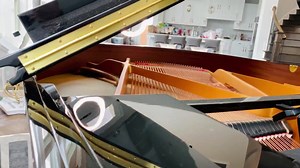 208K views · 8.4K reactions | Información importante - Tour USA Marzo 2020 / Coronavirus - COVID-19 | Miel San Marcos | Facebook